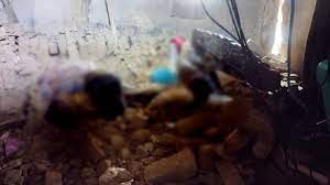 छत्तीसगढ़ मैं घर की दीवार गिरने से एक बड़ा हादसा, 5 लोगों की मौत