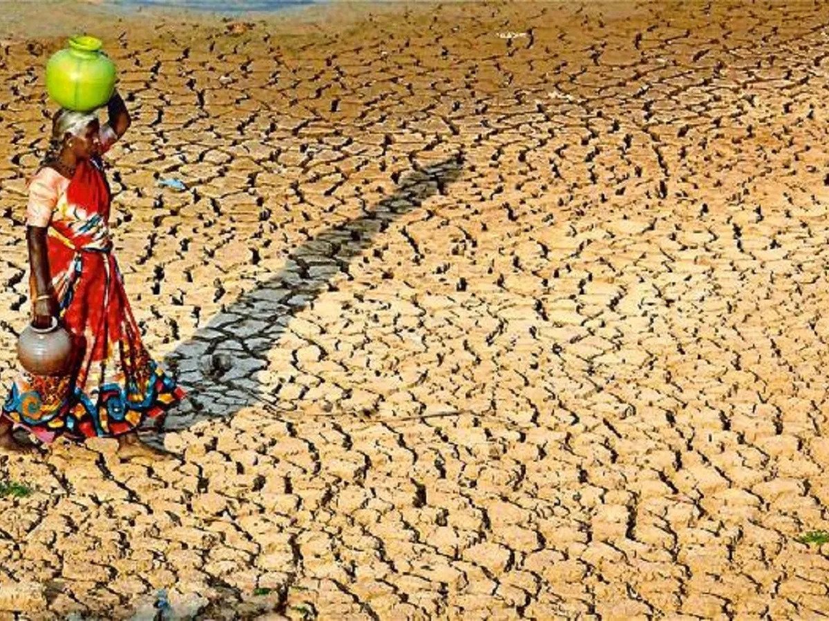 भारत बना रहा है 1400km लंबी दीवार ! जानें क्यों?