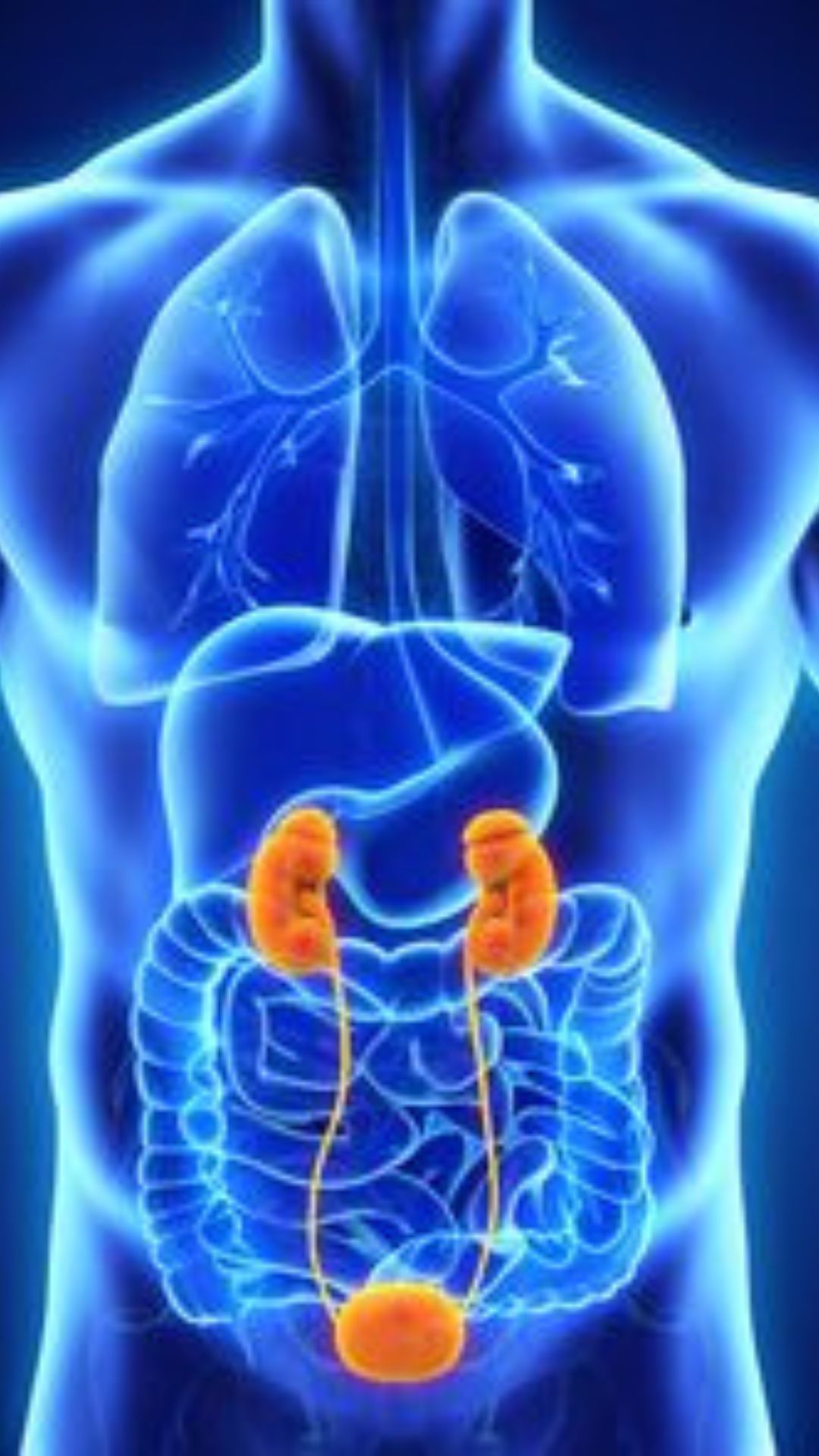 किडनी ख़राब होने के संकेत 